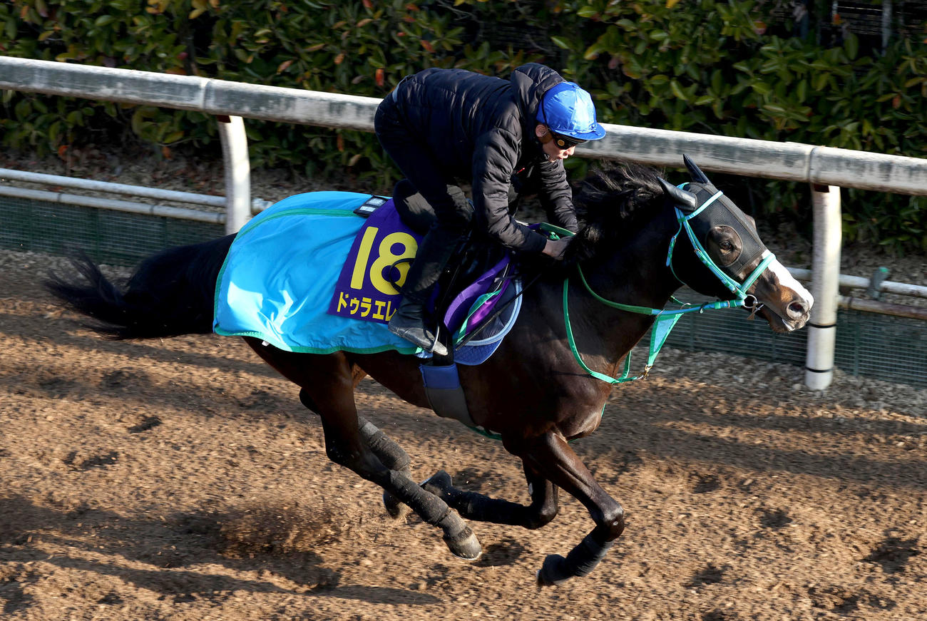 B・ムルザバエフ騎手を背に坂路を単走で追い切るドゥラエレーデ（撮影・白石智彦）