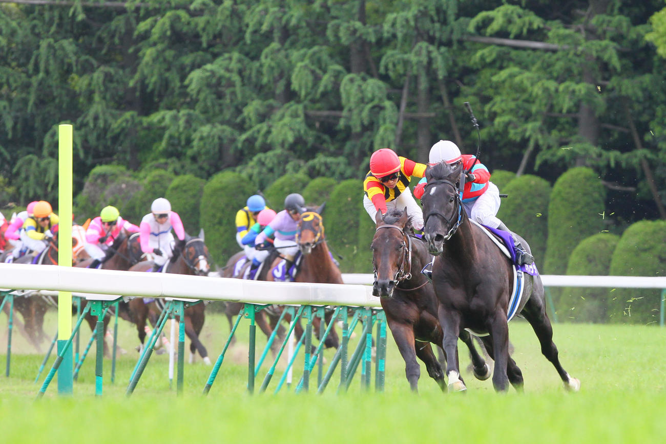 12年4月、天皇賞・春　4コーナーをトップで通過するビートブラック（右）