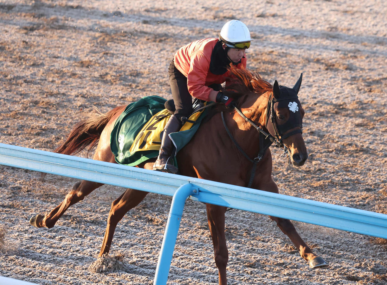 ニシノレヴナントは美浦ウッドで先行する僚馬を追い上げた（撮影・丹羽敏通）