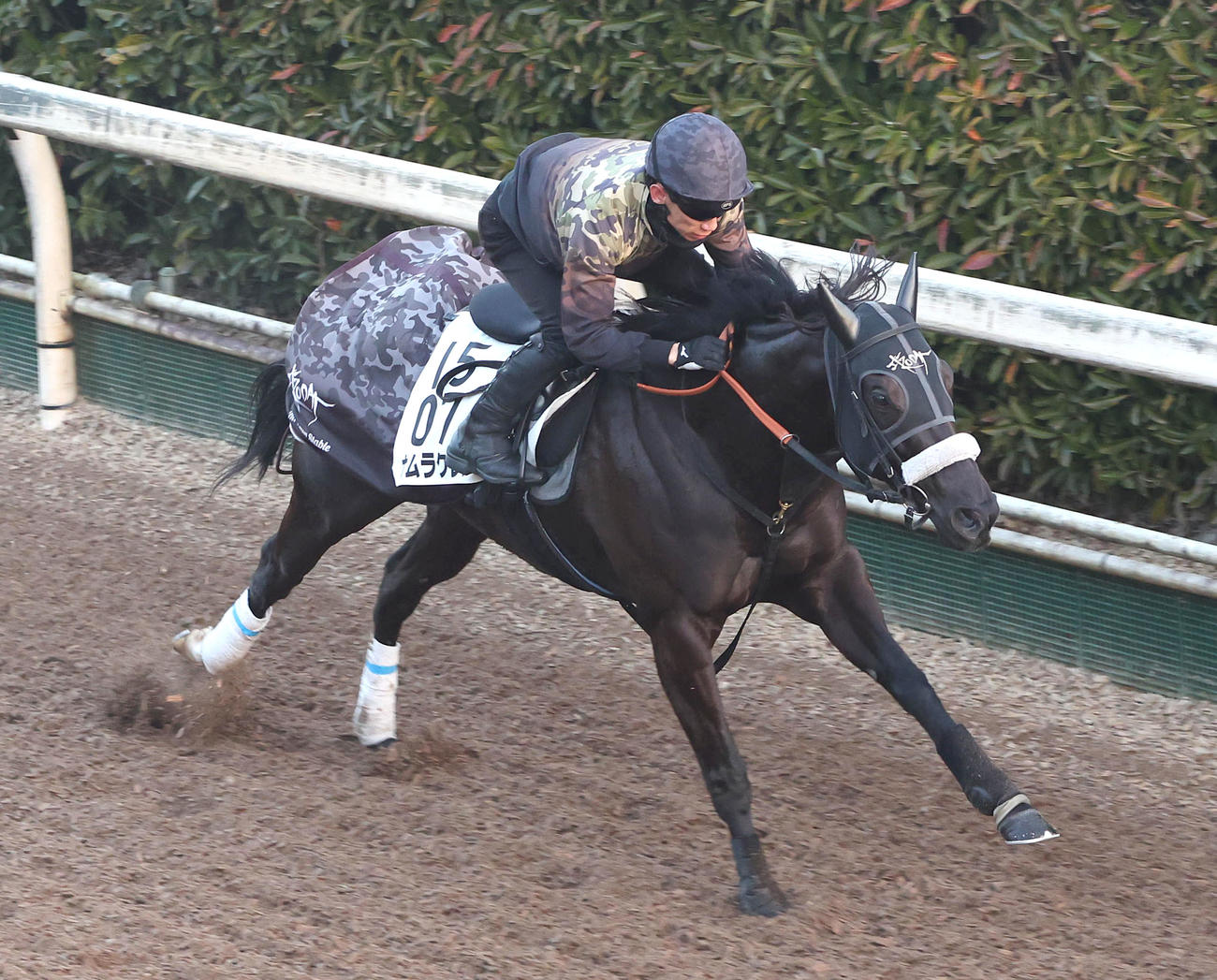 坂路を単走で追い切るナムラクレア（撮影・白石智彦）