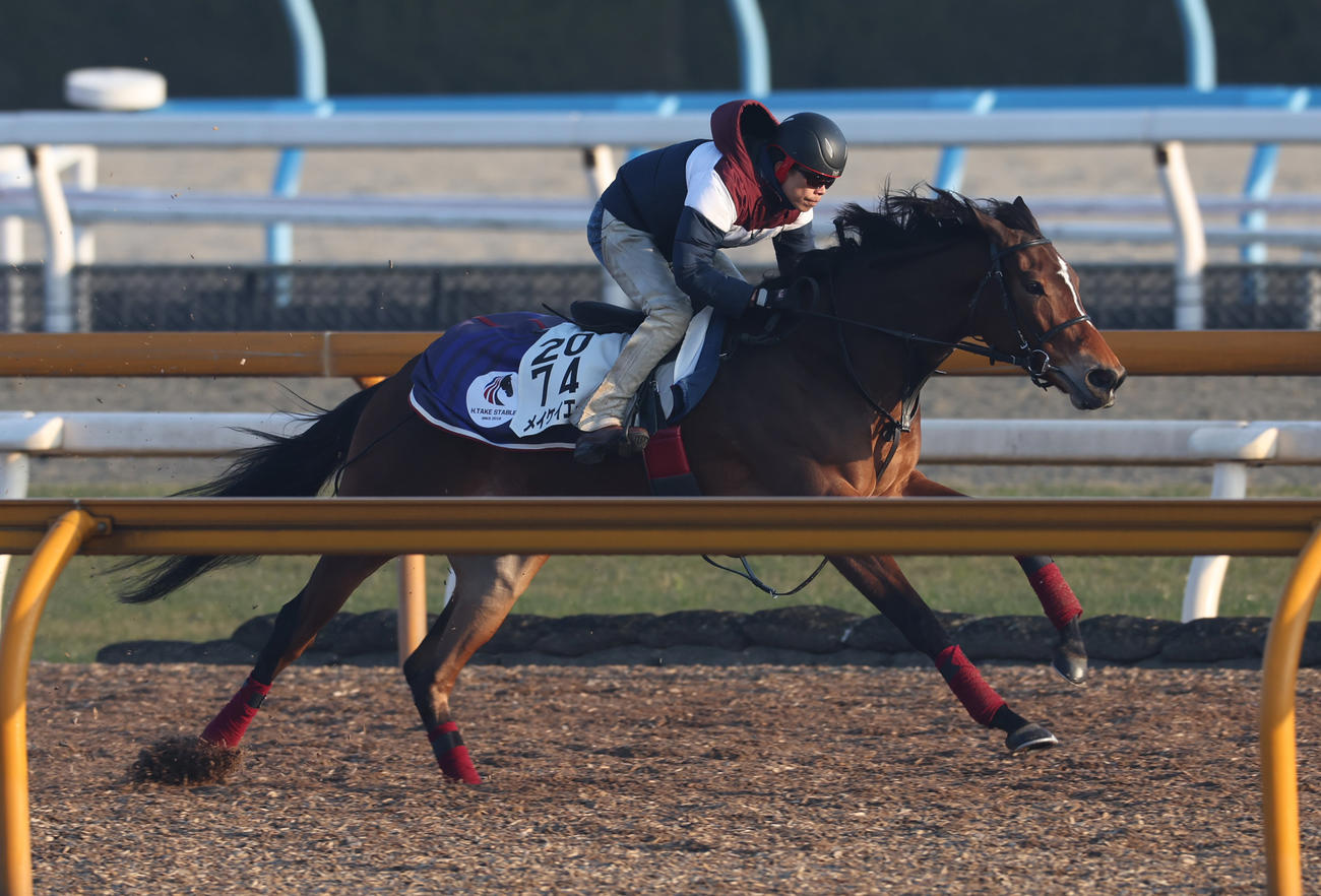 Cウッドで追い切るメイケイエール