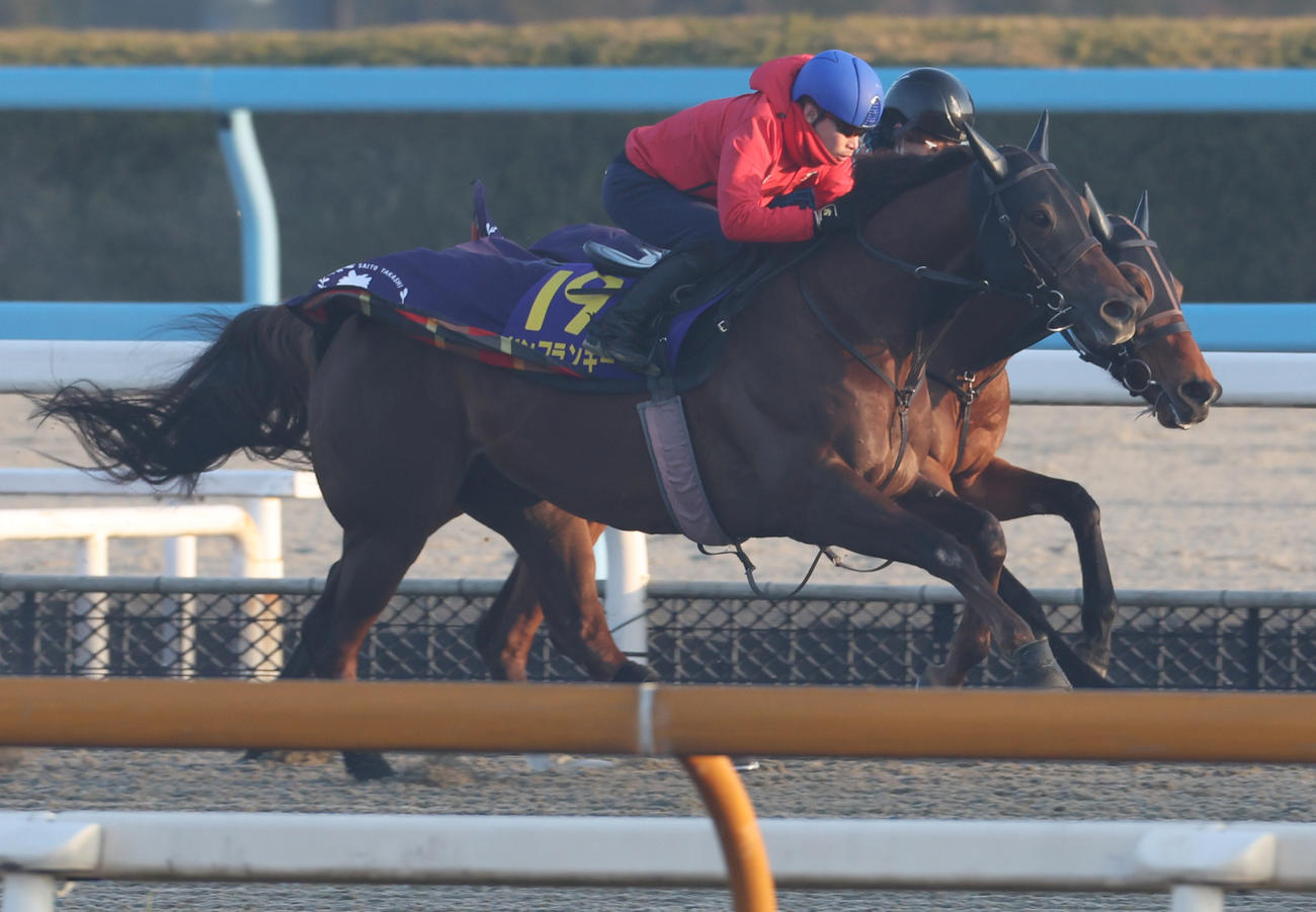 池添騎手を背にポリトラックで追い切るドンフランキー
