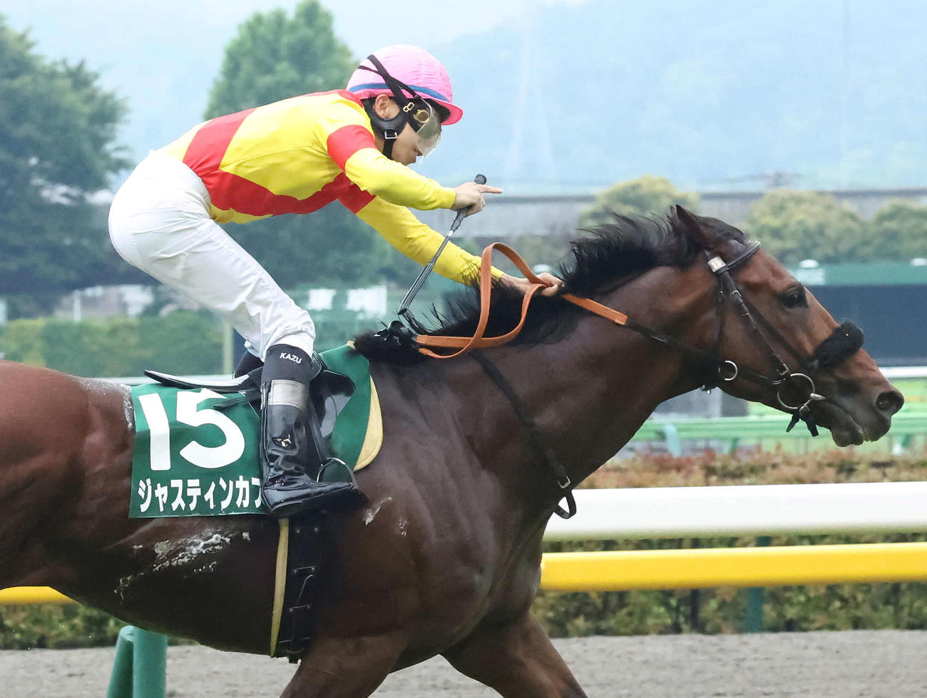 23年6月、エプソムCを制したジャスティンカフェと横山和騎手