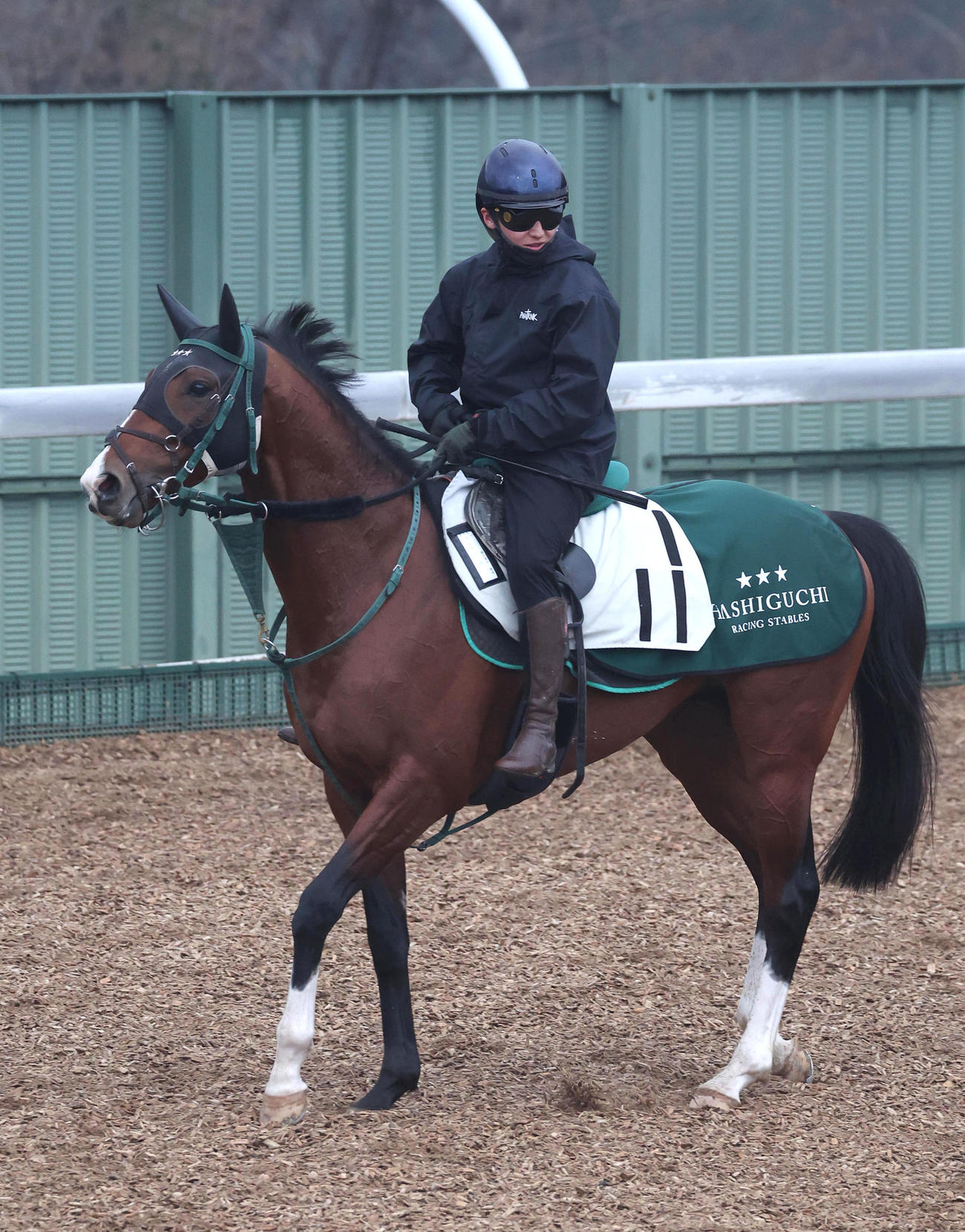 鮫島駿騎手を背に角馬場で運動するアルナシーム（撮影・白石智彦）