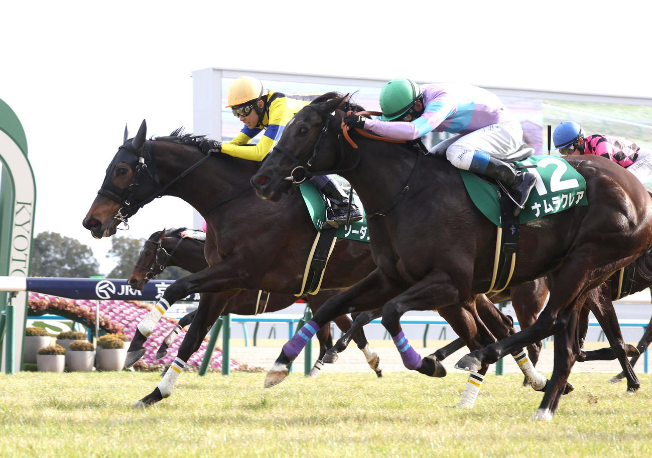 ナムラクレア（右）との競り合いを制して京都牝馬Sを勝利したソーダズリング（撮影・白石智彦）
