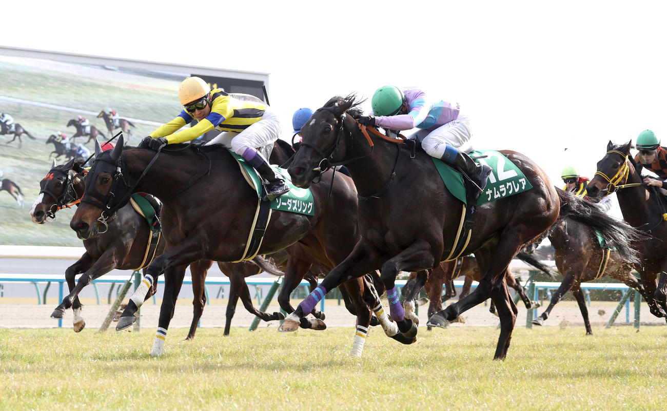 ナムラクレア（右）との競り合いを制して京都牝馬Sを勝利したソーダズリング（撮影・白石智彦）