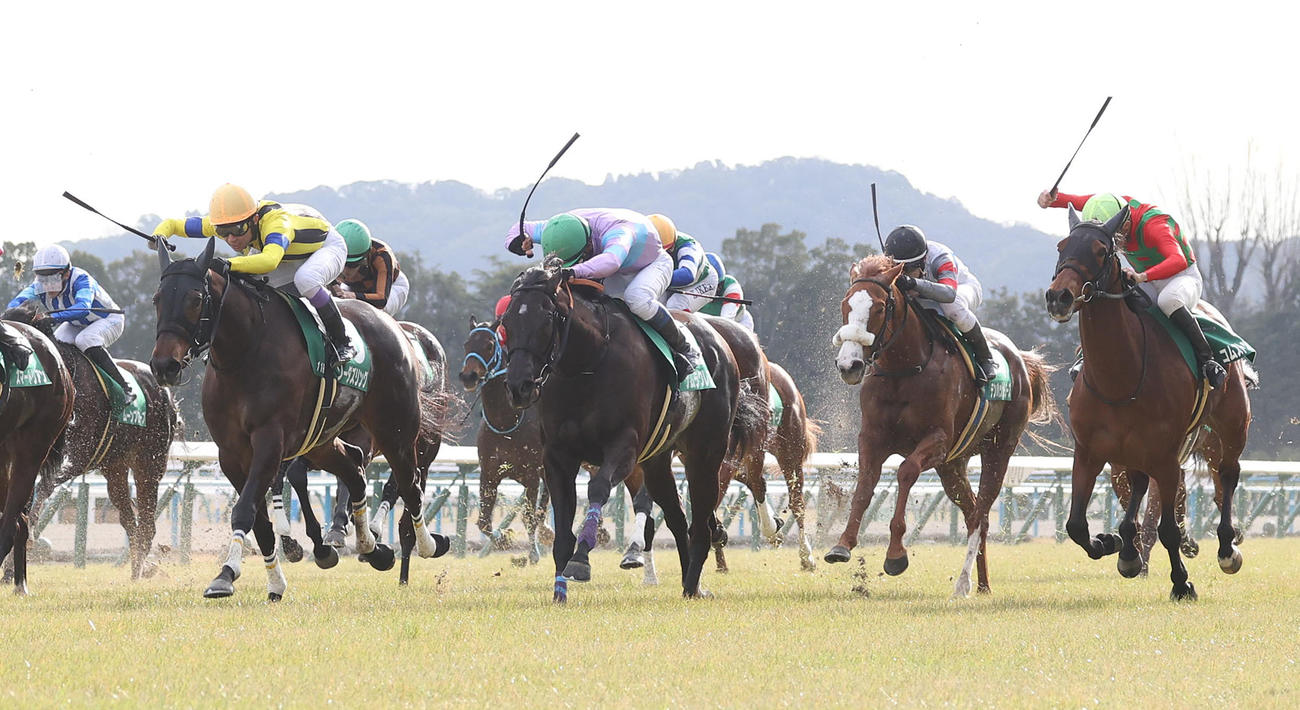 ナムラクレア（左から2頭目）との競り合いを制して京都牝馬Sを勝利したソーダズリング（撮影・白石智彦）