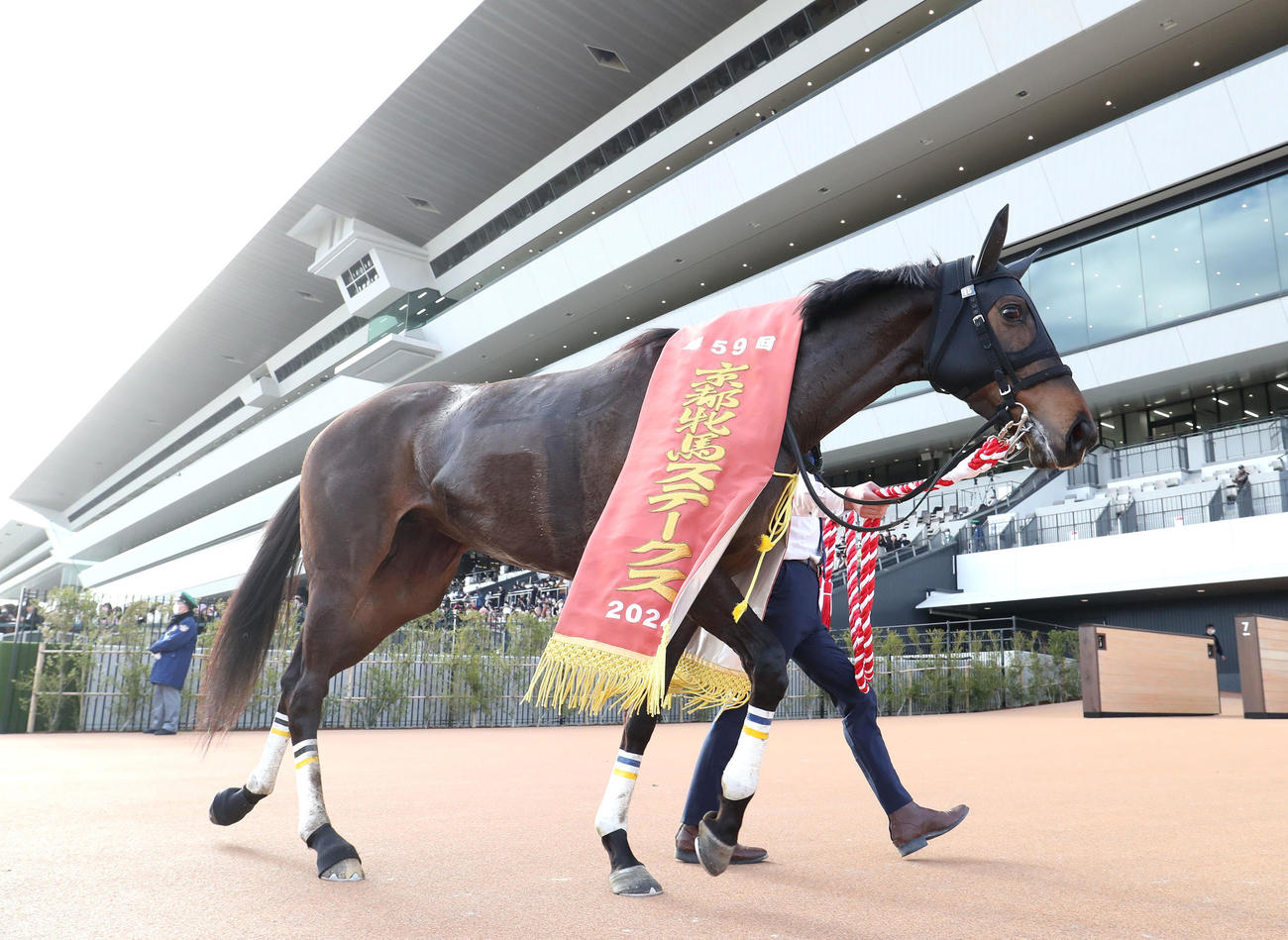 京都11R、京都牝馬Sを制したソーダズリング（撮影・白石智彦）