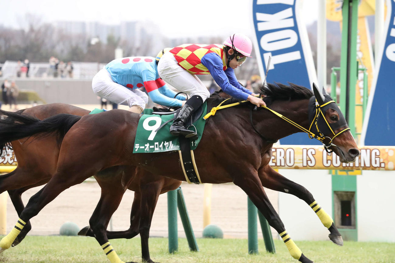 ダイヤモンドSを制したテーオーロイヤルと菱田騎手（撮影・丹羽敏通）
