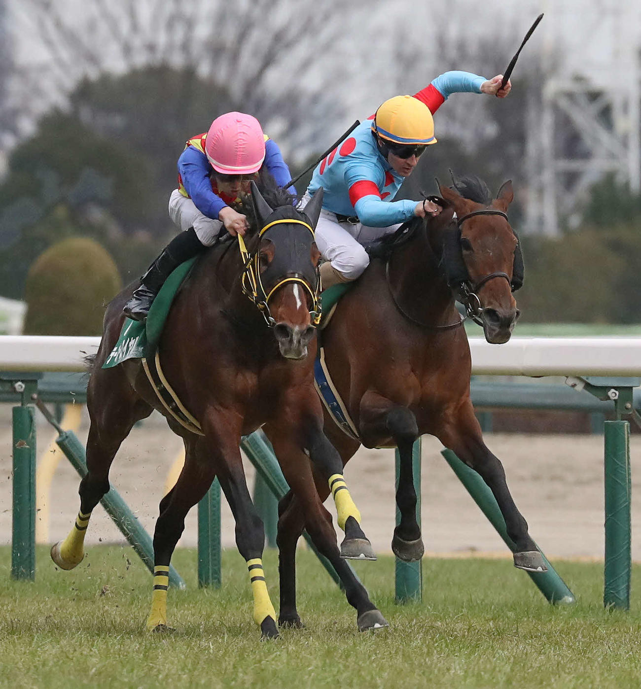 サリエラ（右）との追い比べを制してダイヤモンドSに勝利したテーオーロイヤルと菱田騎手
