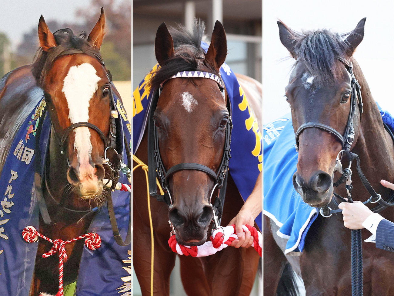 左からゼッフィーロ、サトノグランツ、ノースブリッジ