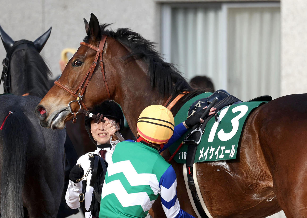 京都牝馬S10着に敗れたメイケイエール（撮影・白石智彦）