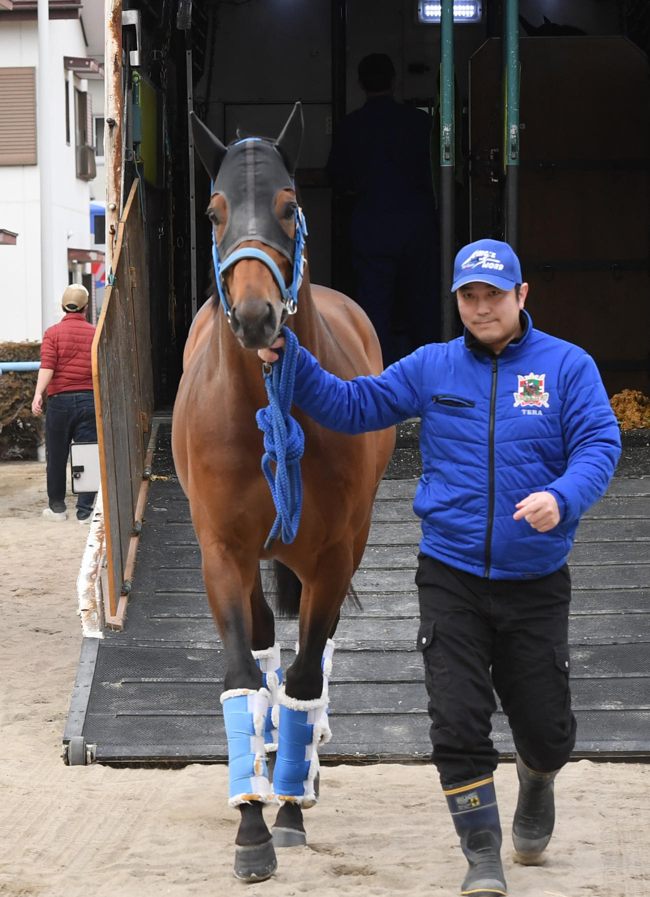 東京競馬場に到着したキングズソード（撮影・柴田隆二）