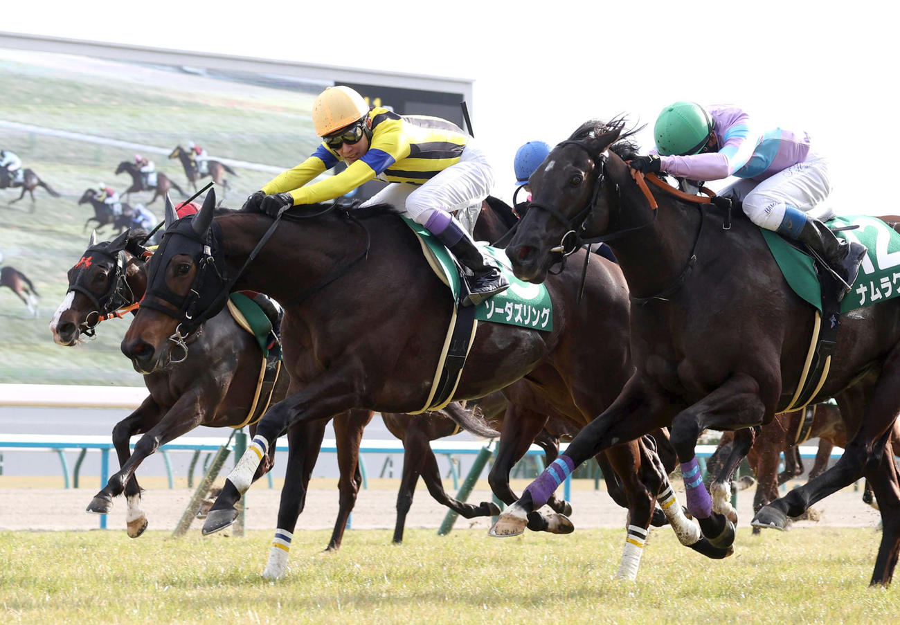 ナムラクレア（右）との競り合いを制して京都牝馬Sを勝利したソーダズリング（撮影・白石智彦）