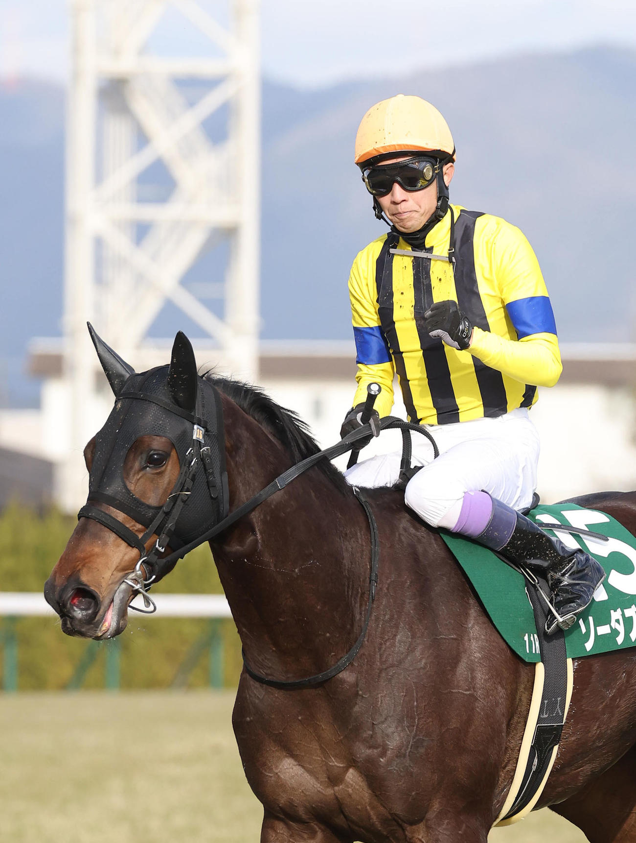 ソーダズリングで京都牝馬Sを制してガッツポーズで引き揚げる武豊騎手（撮影・白石智彦）