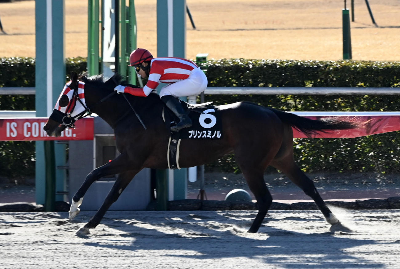 小倉11R、小倉城Sを制したプリンスミノル（撮影・前岡正明）