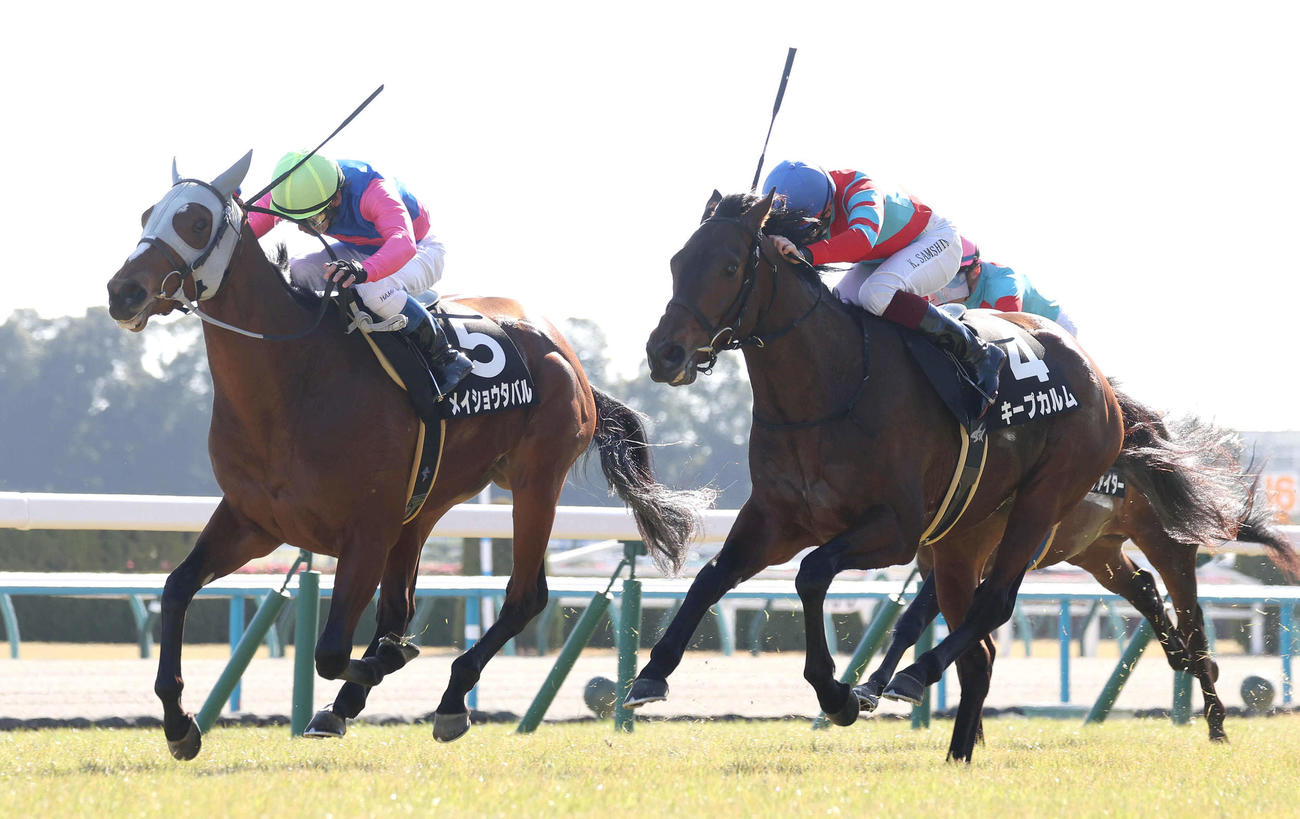 京都9R、直線抜け出してつばき賞を制したメイショウタバル（左）（撮影・白石智彦）