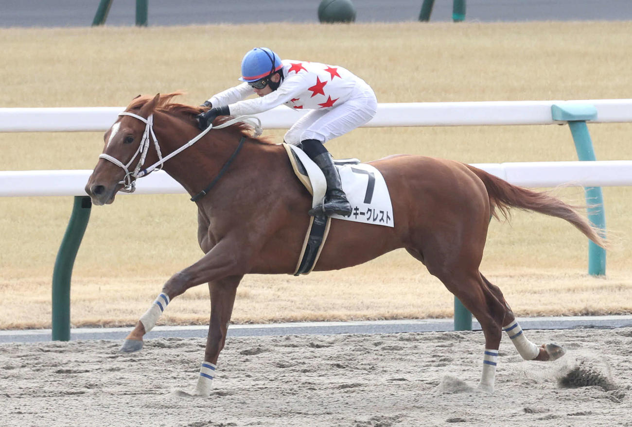 京都4R、直線抜け出して新馬戦を制したミッキークレスト（撮影・白石智彦）