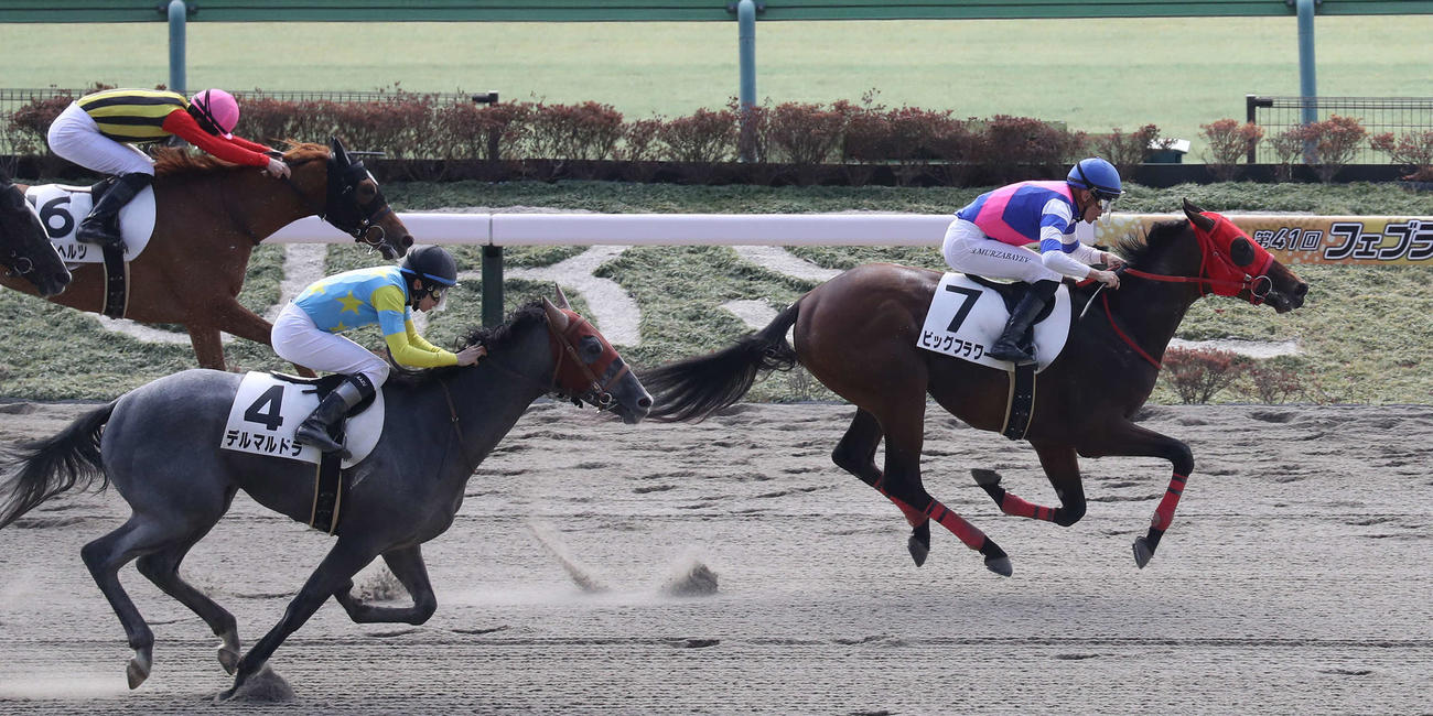 東京3R、3歳新馬戦を制したビッグフラワーとムルザバエフ騎手（右）（撮影・丹羽敏通）