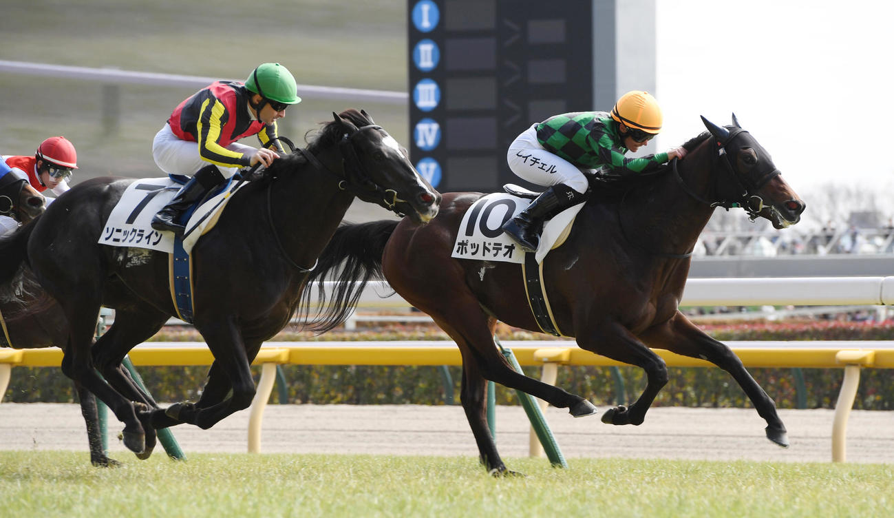 東京5Rを制するポッドテオ（右）（撮影・柴田隆二）