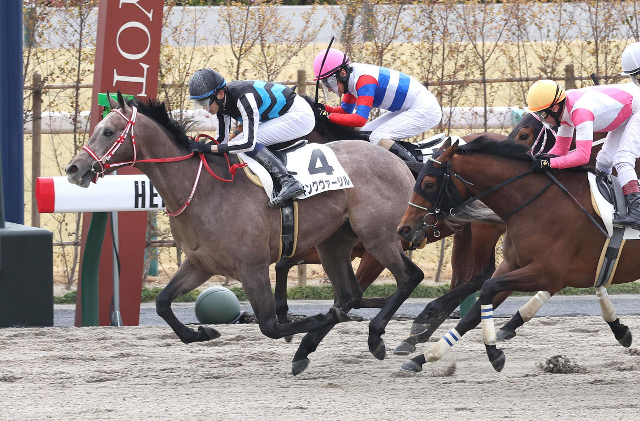 京都4R、直線抜け出して新馬戦を制したキングヴァージル（撮影・白石智彦）