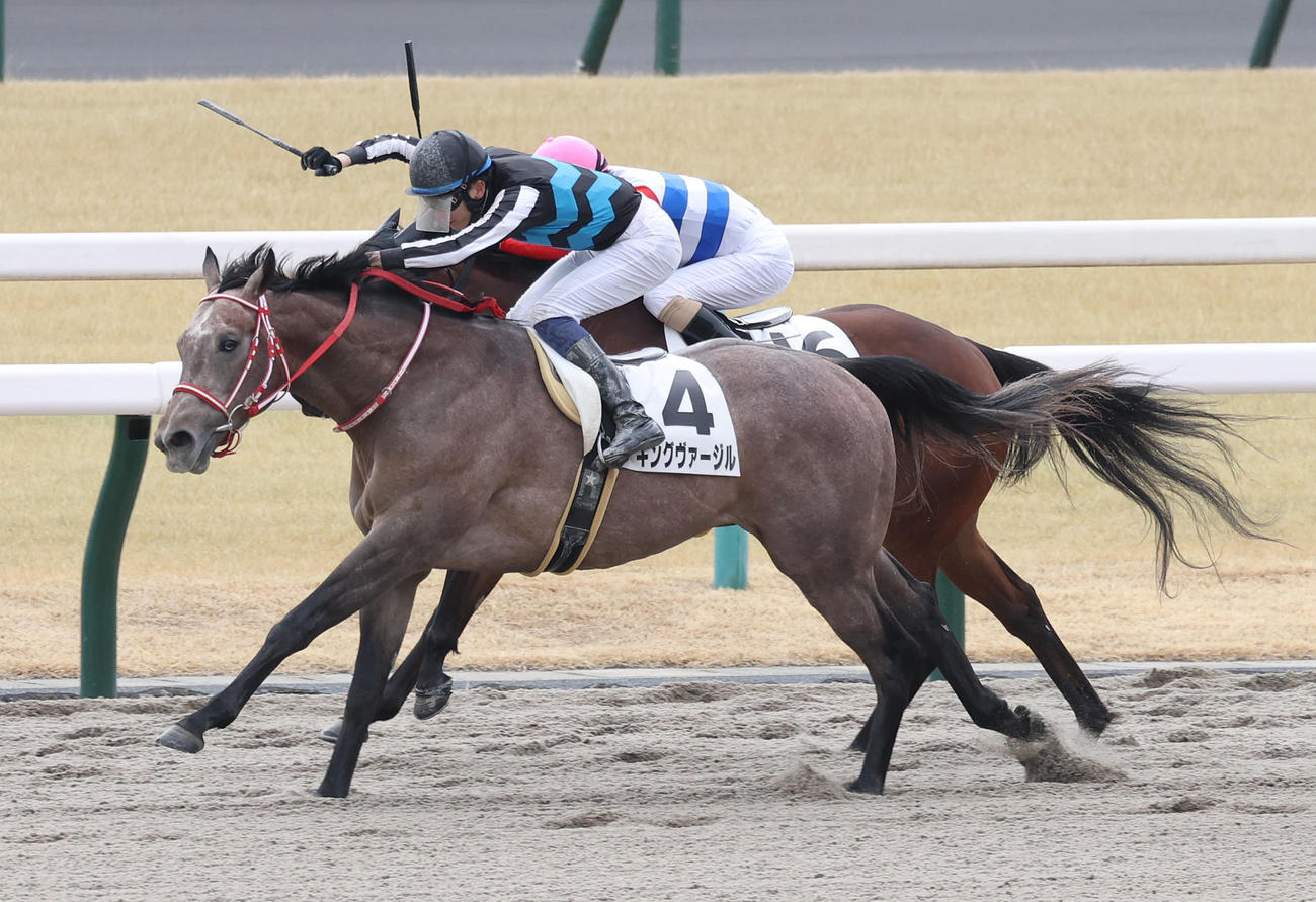 直線抜け出して新馬戦を制したキングヴァージルと坂井騎手（撮影・白石智彦）