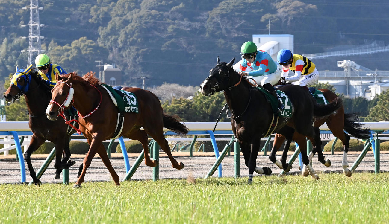 小倉大賞典を制したエピファニー（右から2頭目）（撮影・前岡正明）