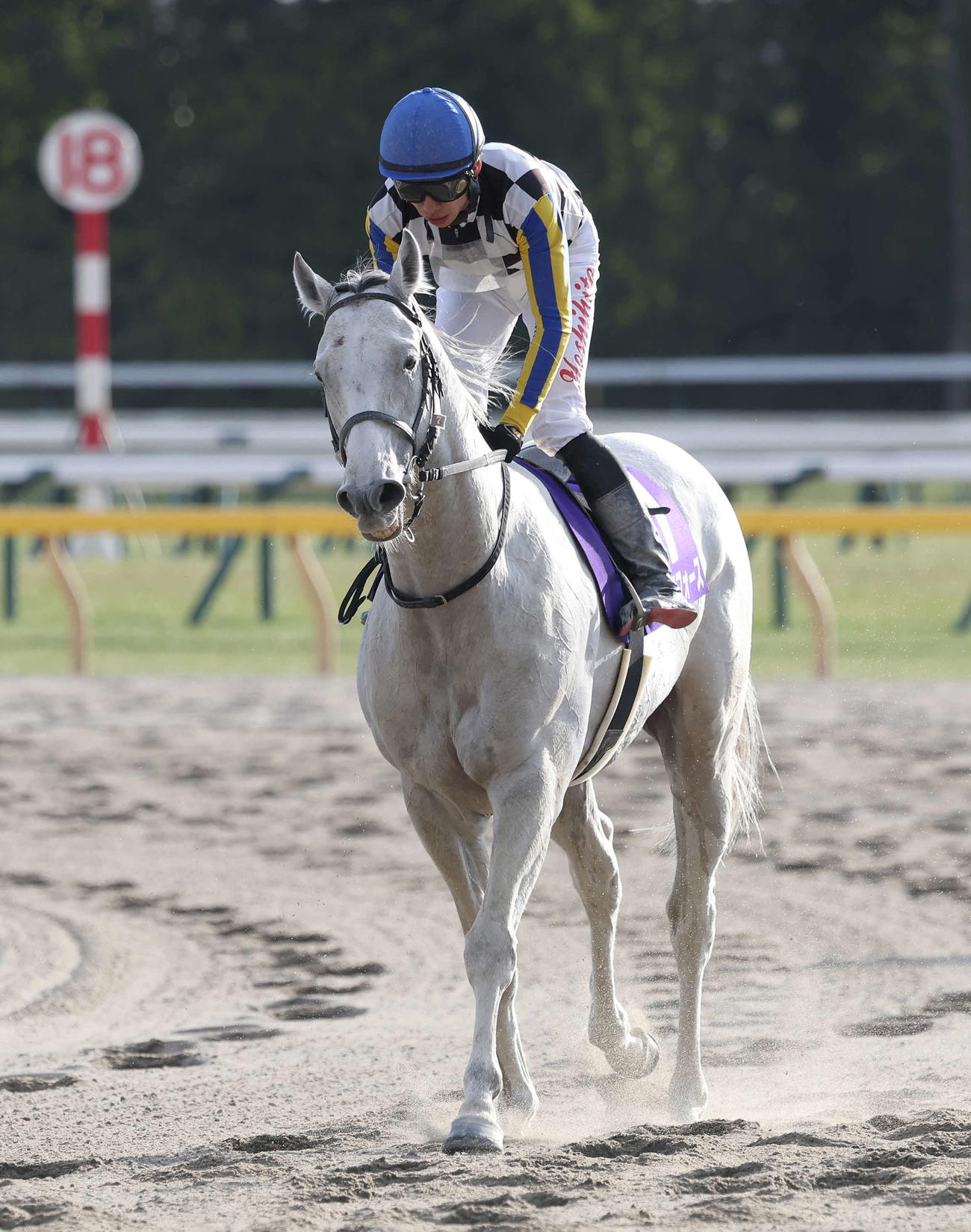 フェブラリーSで2着になったガイアフォースと長岡騎手（撮影・丹羽敏通）