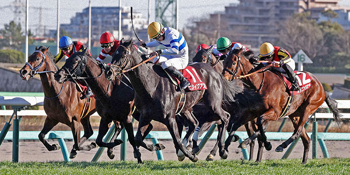 中山記念を制したヒシイグアス（中央）と松山弘平騎手（撮影・鈴木正人）＝2023年2月26日、中山競馬場