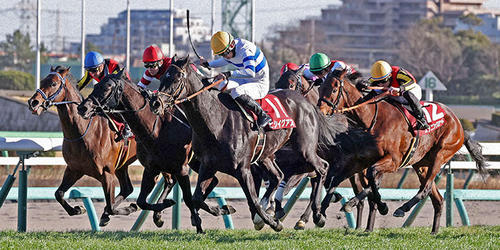 中山記念を制したヒシイグアス（中央）と松山弘平騎手（撮影・鈴木正人）＝2023年2月26日、中山競馬場