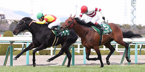 4連勝で阪急杯を制したアグリ（左）（撮影・白石智彦）＝2023年2月26日、阪神競馬場
