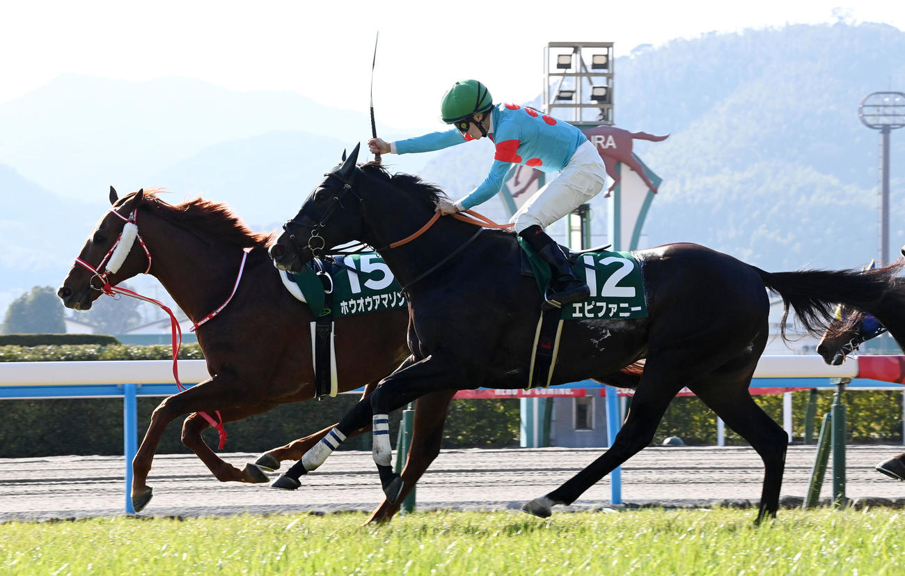 11R、小倉大賞典を制したエピファニーと鞍上でガッツポーズを見せる杉原騎手（撮影・前岡正明）