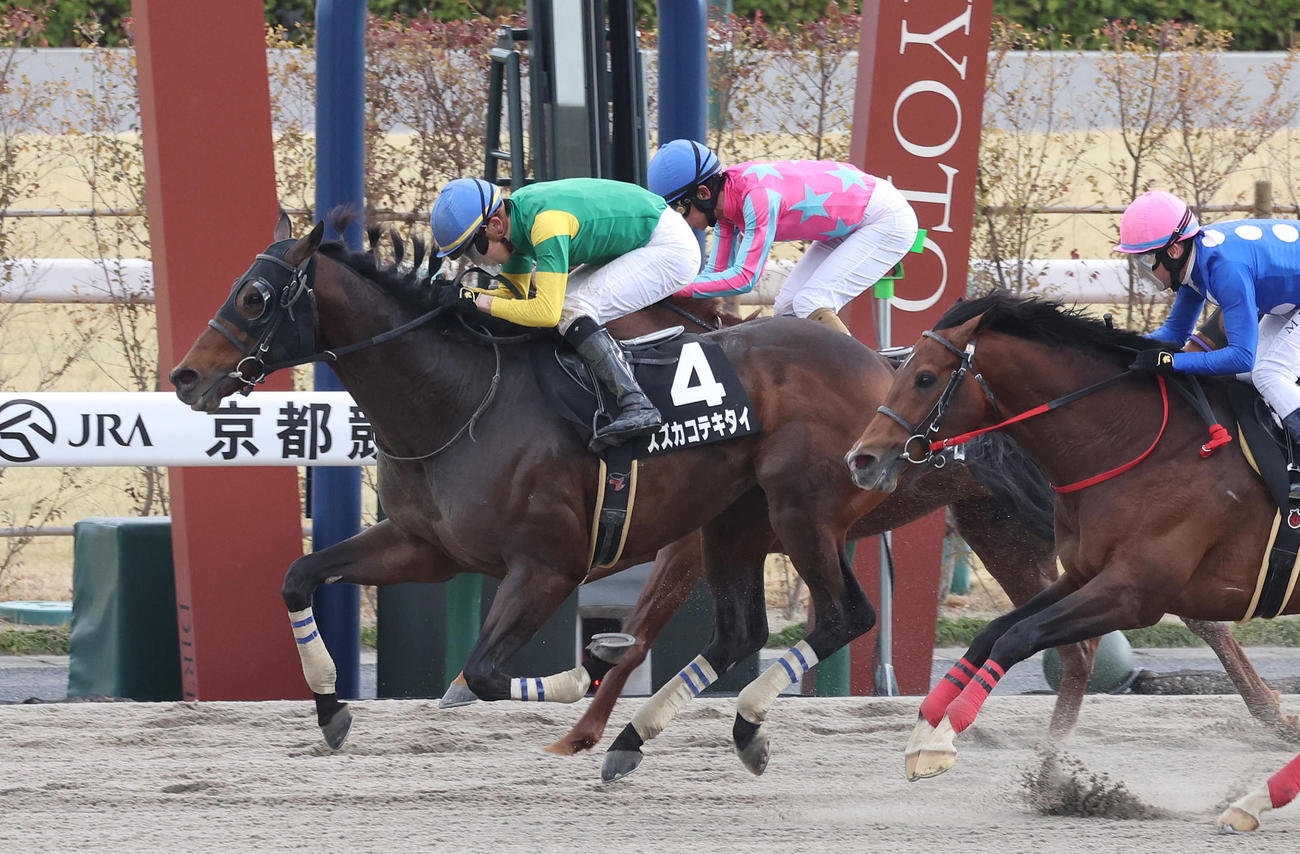 直線鋭く伸びて大和Sを制したスズカコテキタイ（撮影・白石智彦）