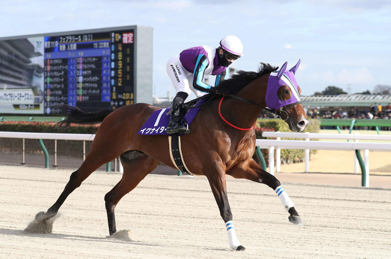 フェブラリーSに出走したイグナイターと西村淳騎手（2024年2月18日撮影）