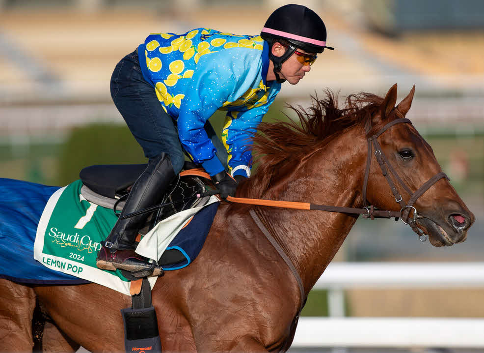 17日、調整するレモンポップ（C）Jockey Club of Saudi Arabia