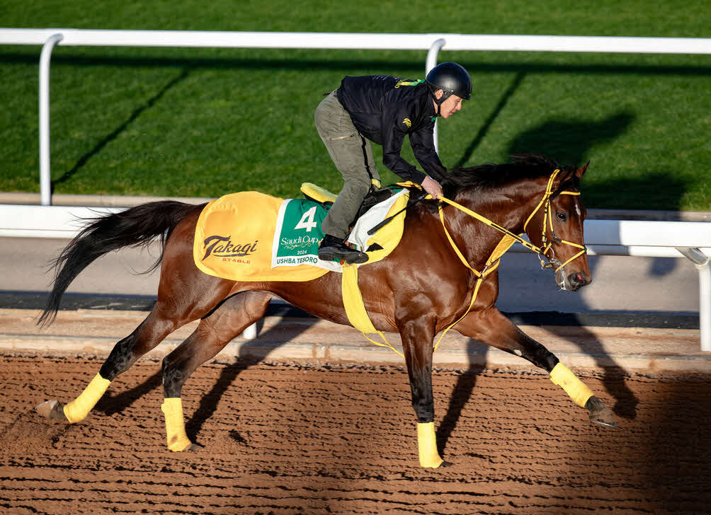 18日、調整するウシュバテソーロ（C）Jockey Club of Saudi Arabia