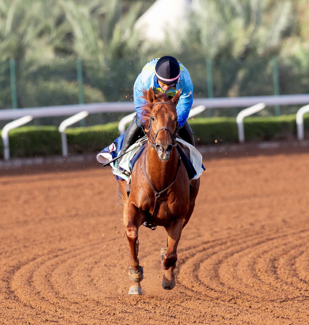 17日、調教するレモンポップ（C）Jockey Club of Saudi Arabia