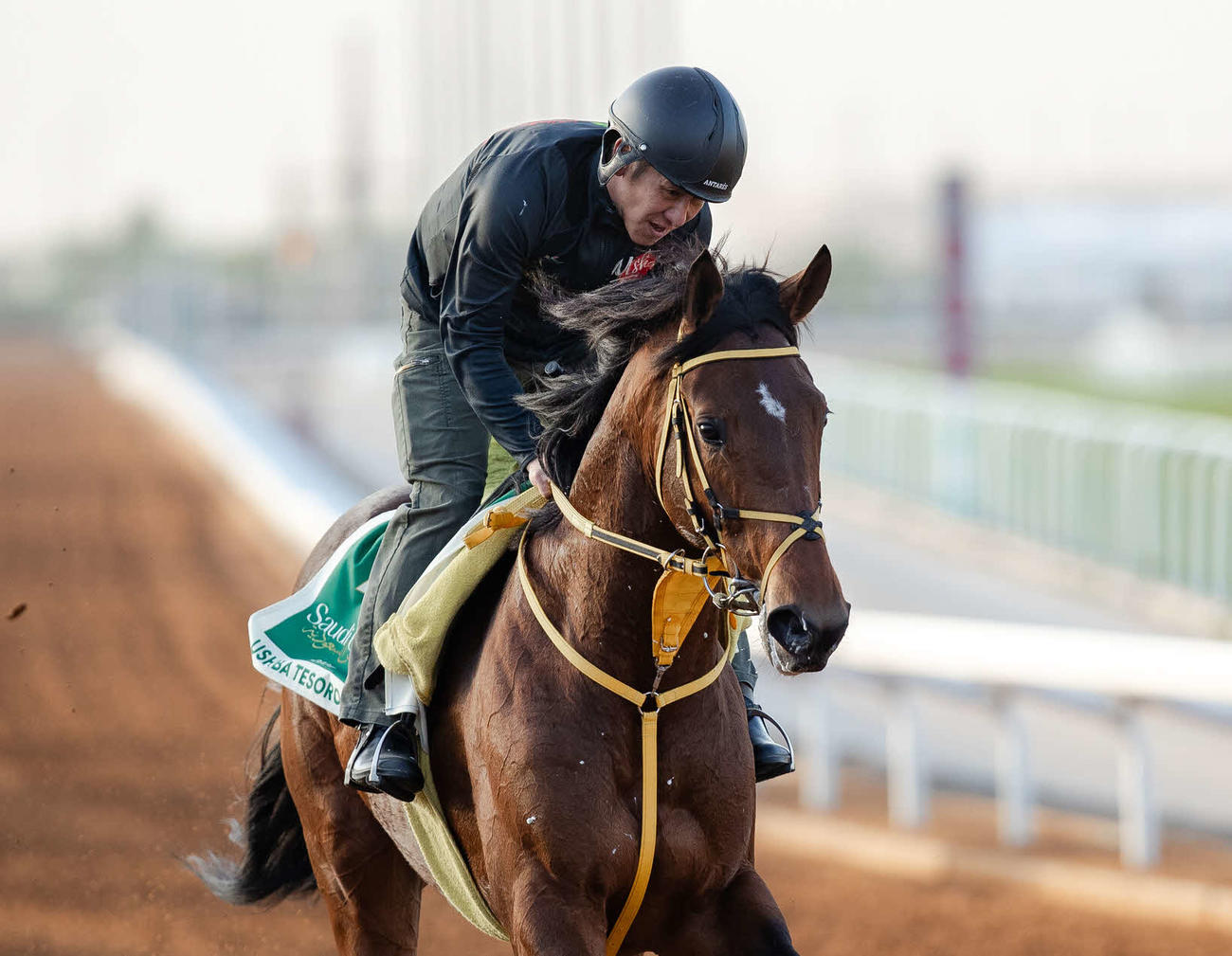 17日、調教するウシュバテソーロ（C）Jockey Club of Saudi Arabia