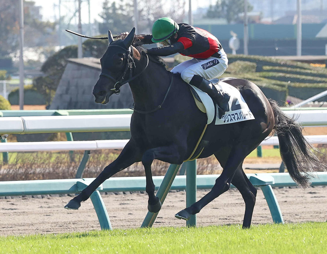 2歳新馬戦を制したクリスマスパレード（2023年12月3日撮影）