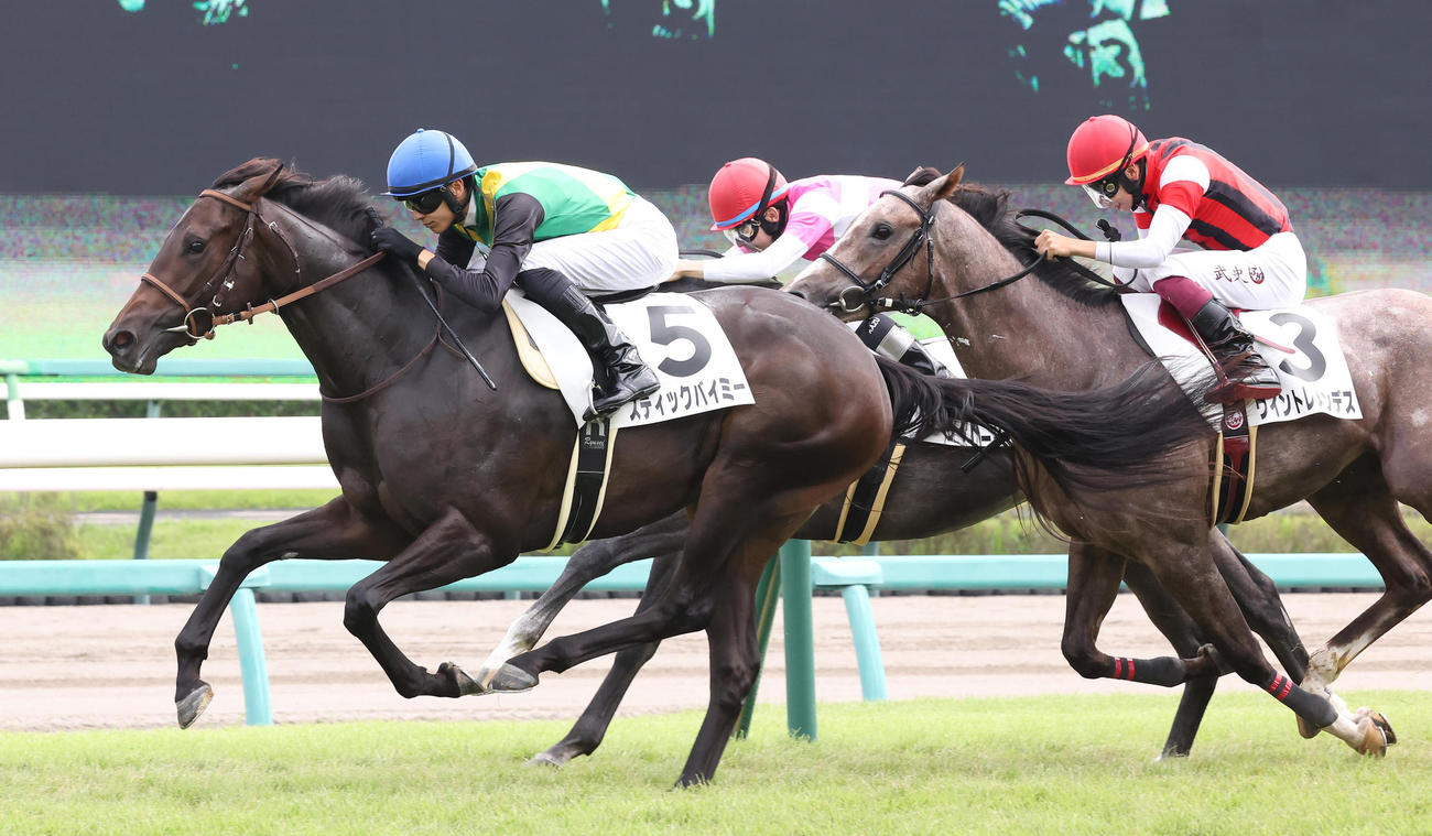 2歳新馬戦を制したスティックバイミー（2023年10月1日撮影）