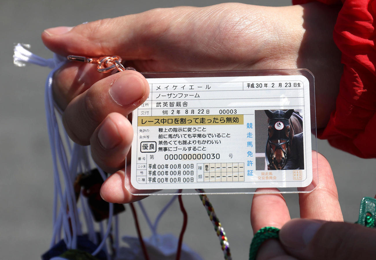 メイケイエールの運転免許証のようなお守り（2022年5月撮影）