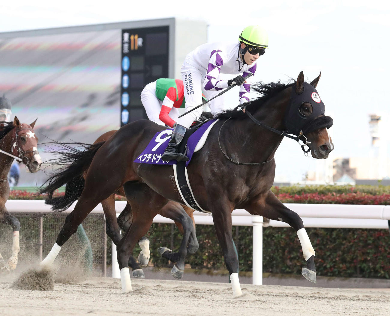 フェブラリーSを制したペプチドナイルと藤岡佑騎手