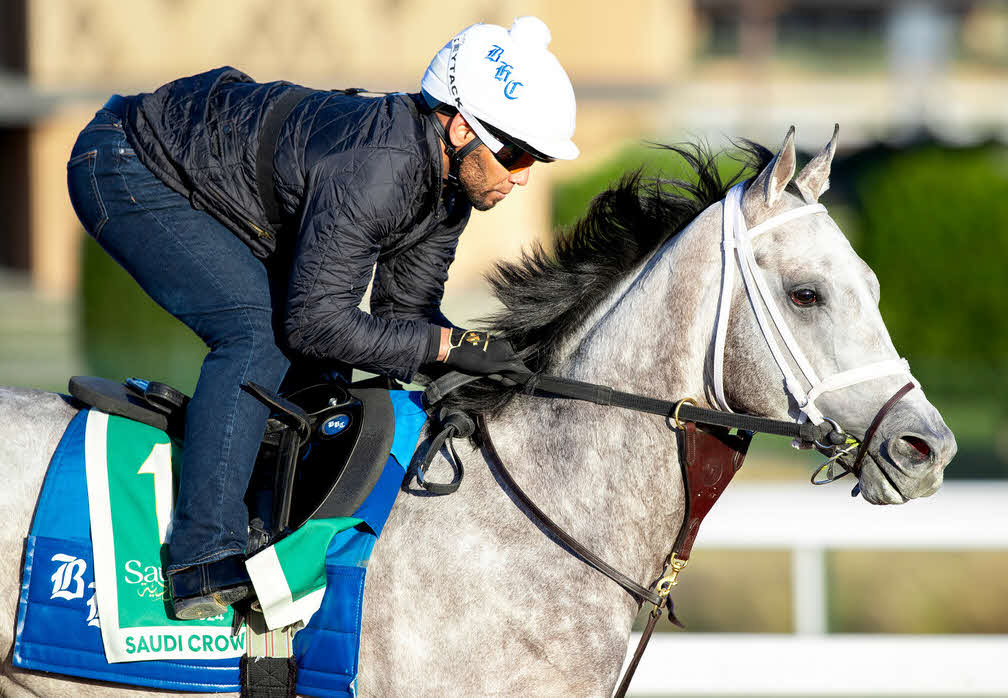 18日、調教するサウジクラウン（C）Jockey Club of Saudi Arabia