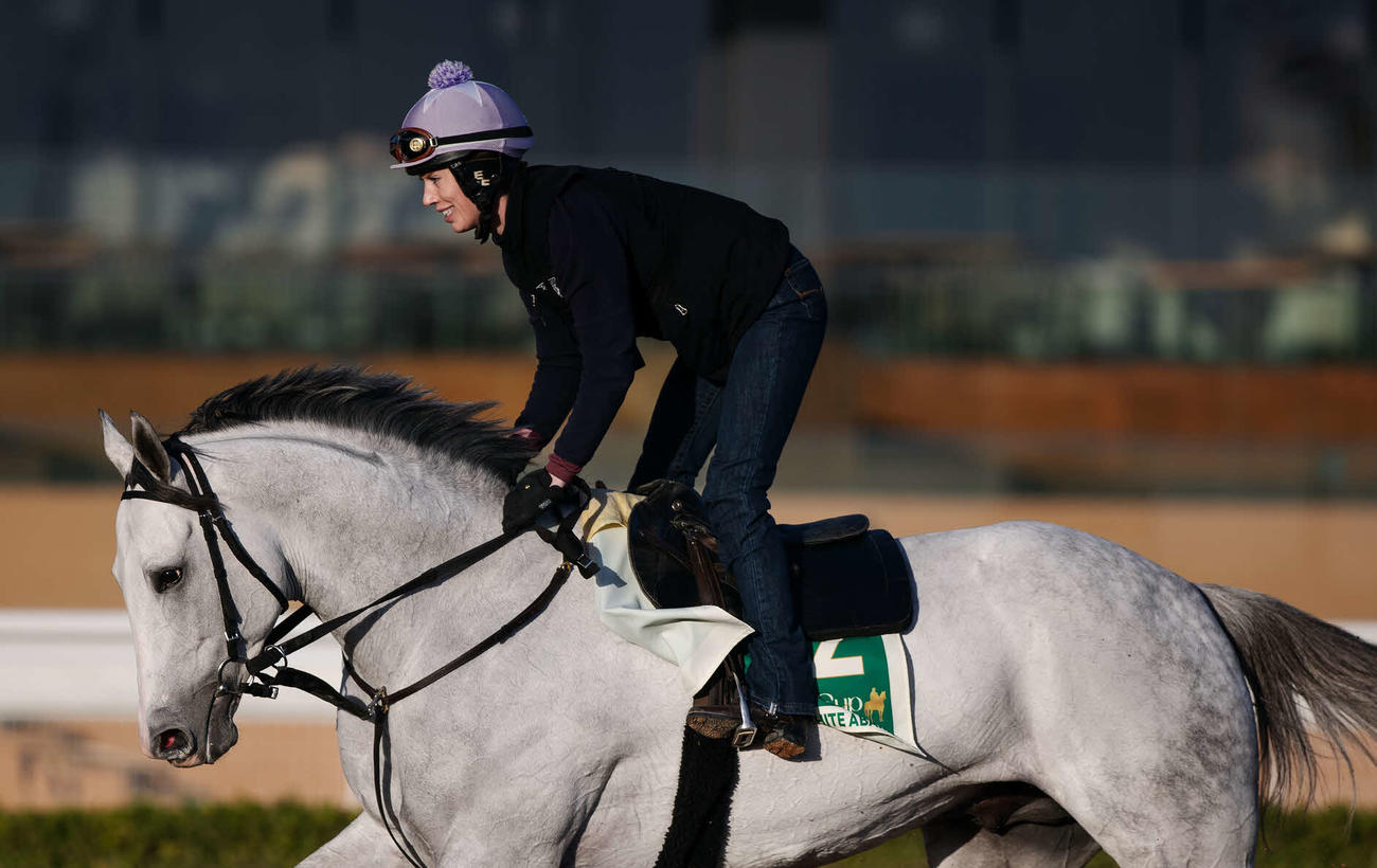 18日、調教するホワイトアバリオ（C）Jockey Club of Saudi Arabia