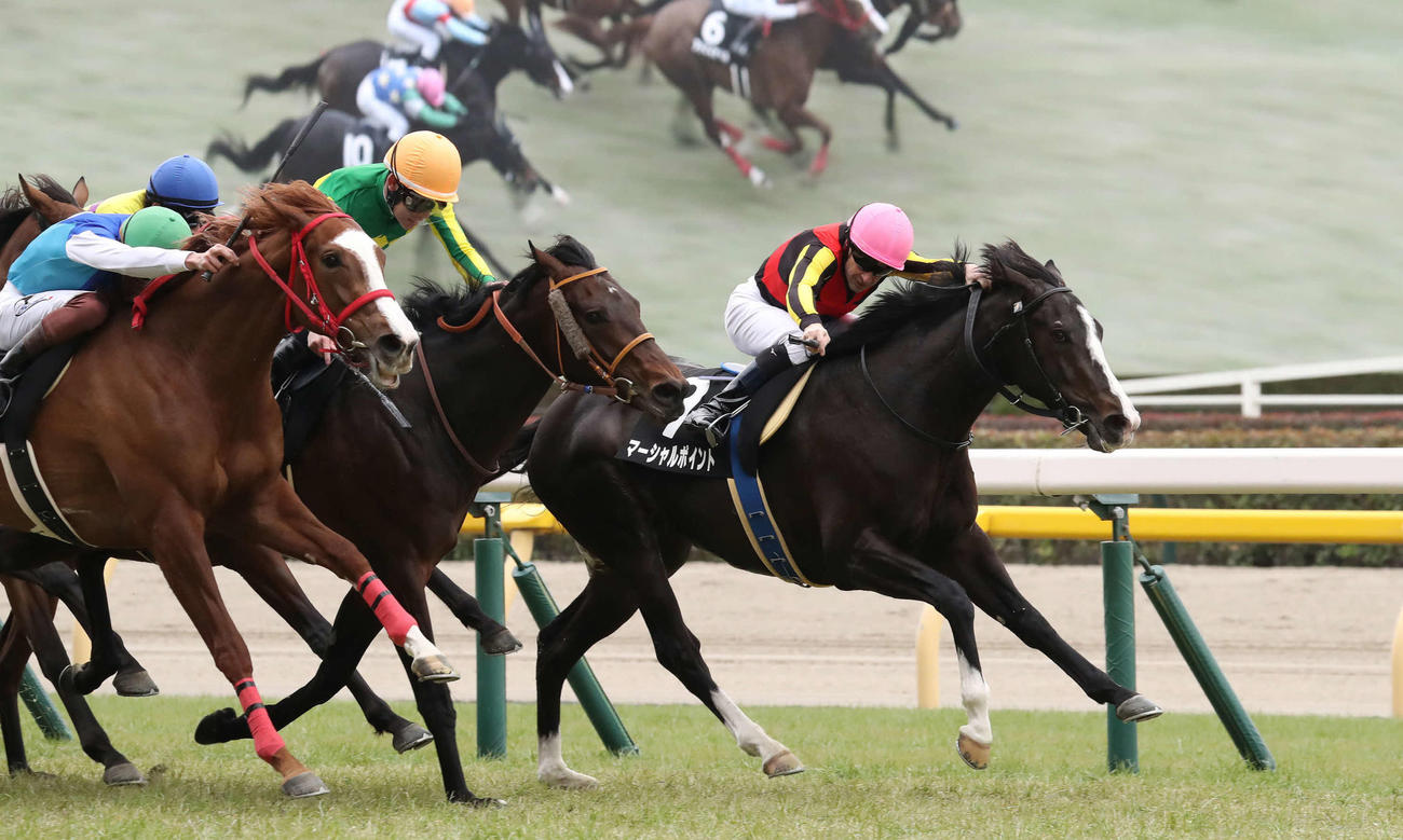 東京9R、アドマイヤベル（左）の追い上げを抑えてフリージア賞を制したマーシャルポイント（右）