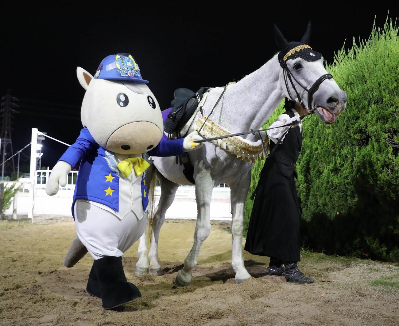 23年10月、園田競馬場公式マスコットそのたんと並んで歩くアイスバーグ　