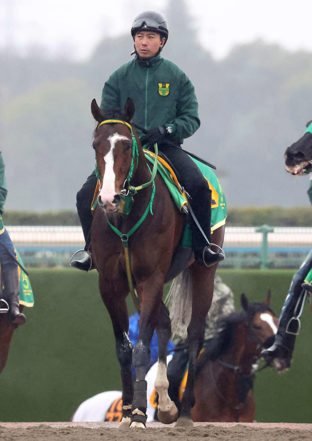 追い切りを終えて馬場を出るアサカラキング（撮影・丹羽敏通）