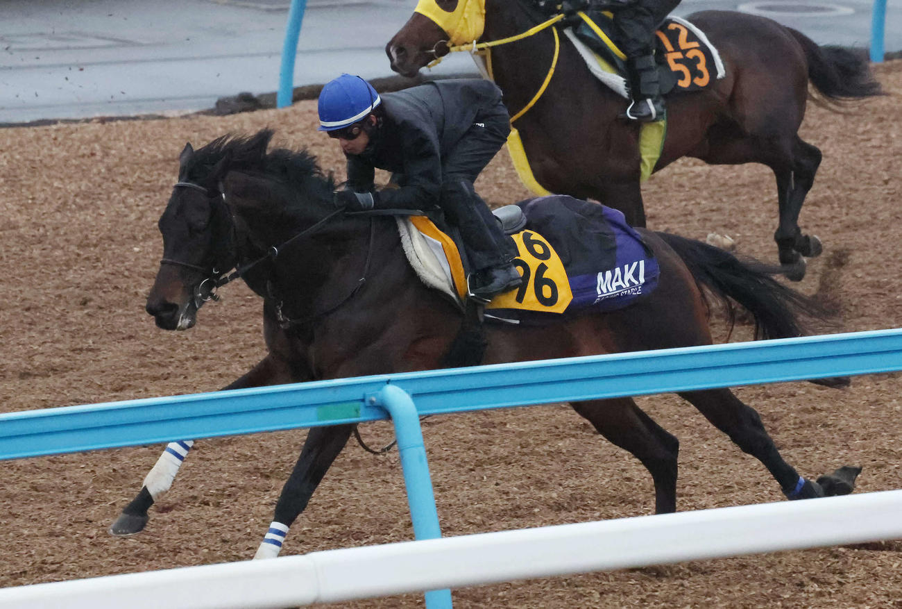 ボーンディスウェイは美浦ウッドを単走で追い切られた（撮影・丹羽敏通）