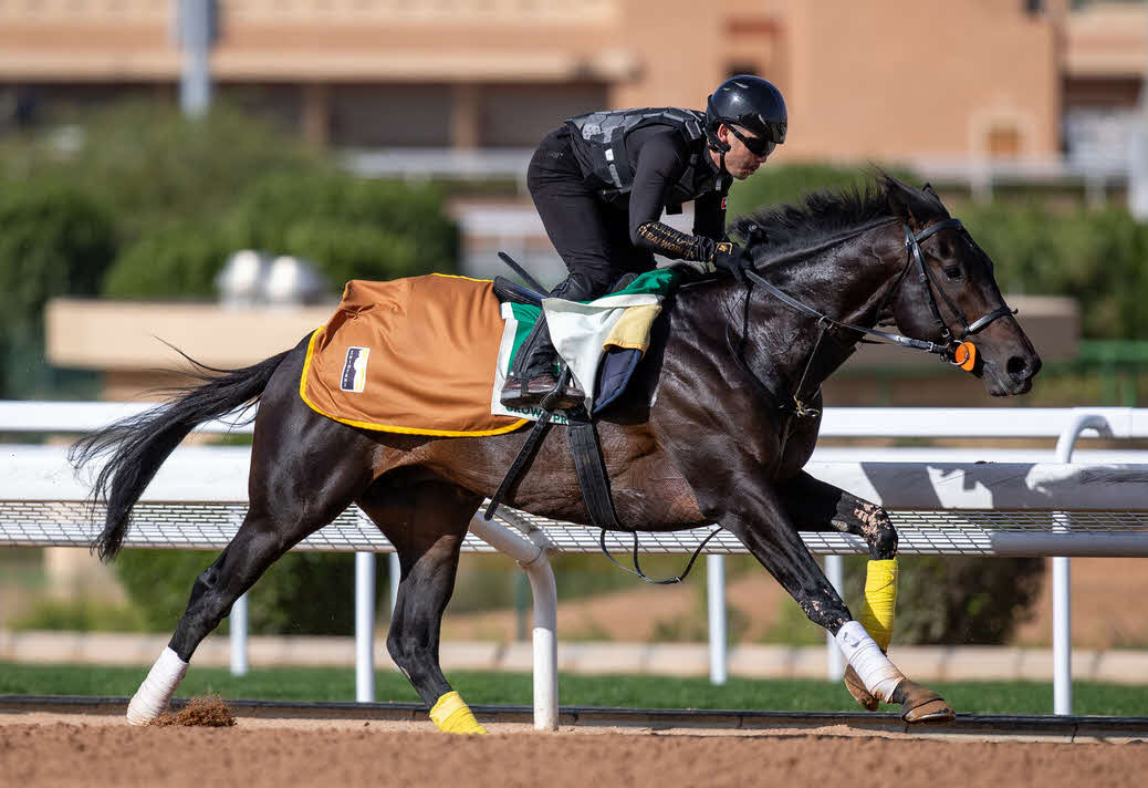 20日、キングアブドゥルアジーズ競馬場で調整するクラウンプライド（（C）Jockey Club of Saudi Arabia）