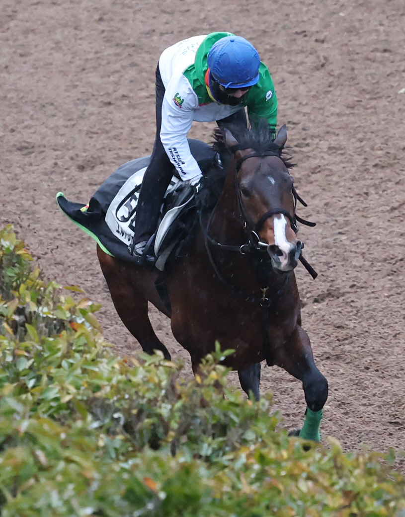 坂路で追い切るエルトンバローズ